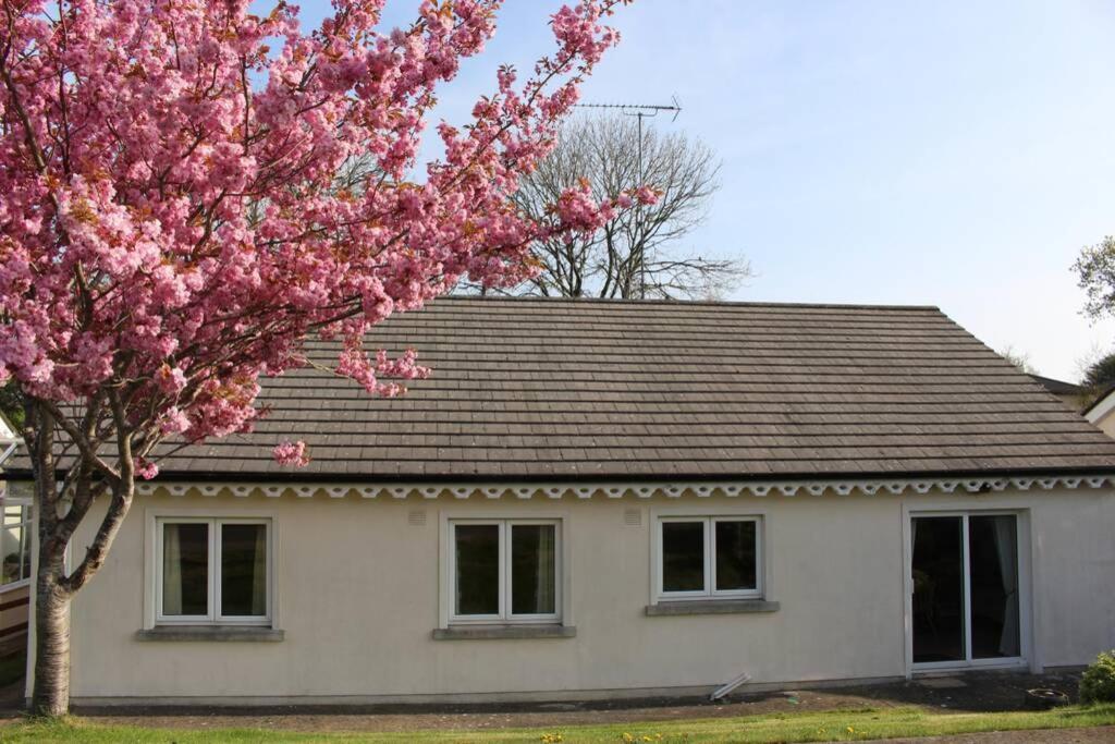 Sunny Bungalow Courtown Ngoại thất bức ảnh