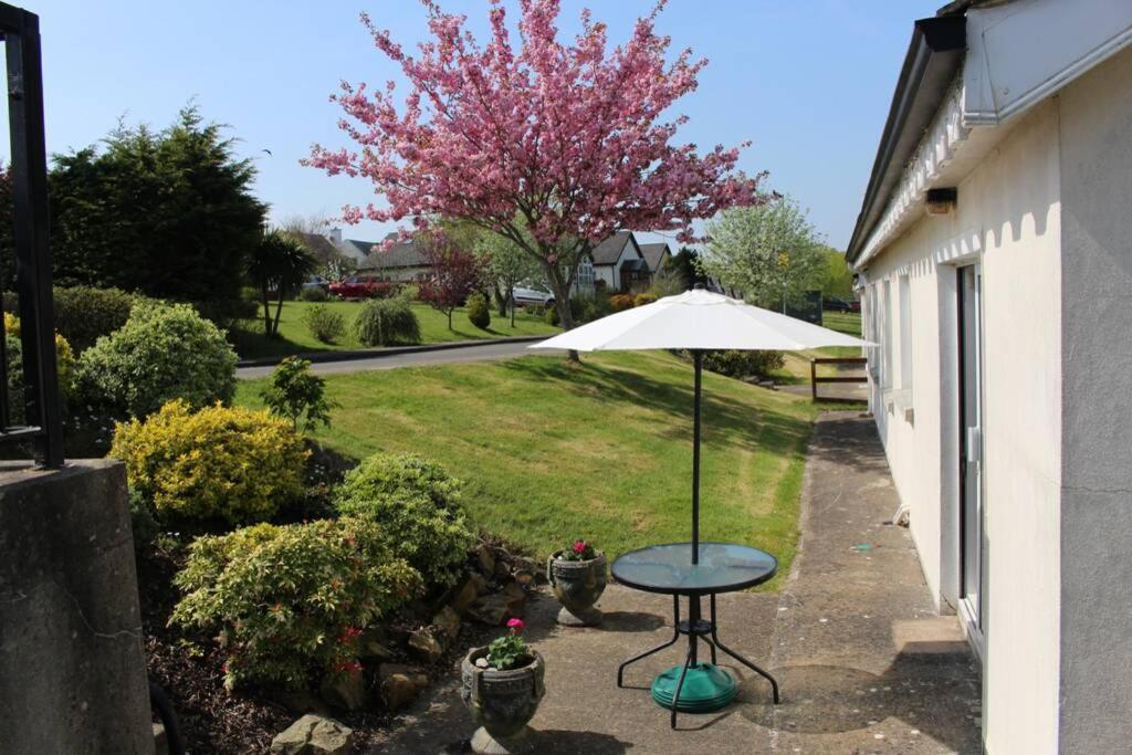Sunny Bungalow Courtown Ngoại thất bức ảnh